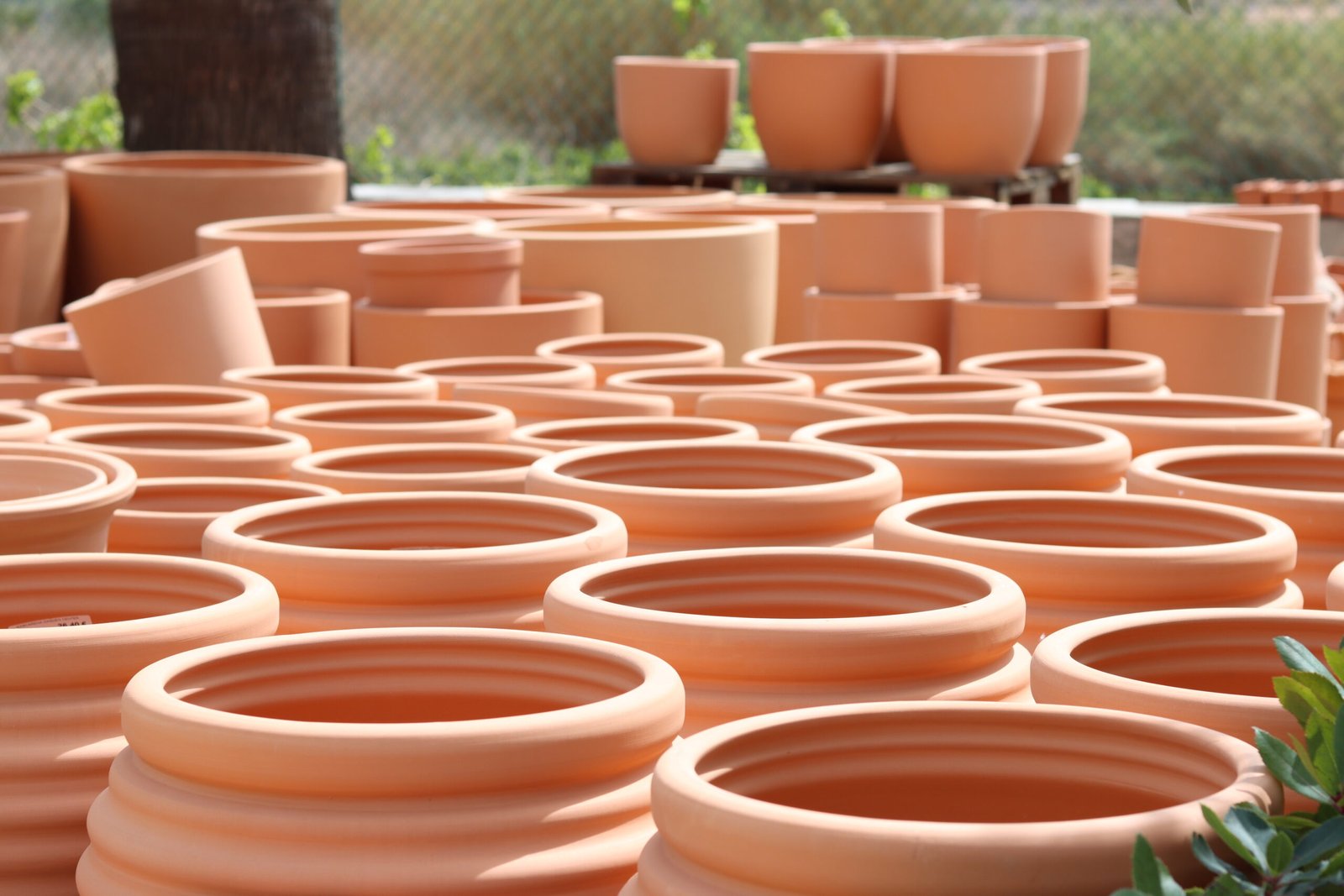 Professional restaurant photography